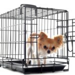 Czym jest klatka kennelowa i dlaczego każdy pies powinien ją mieć ? Tomi House