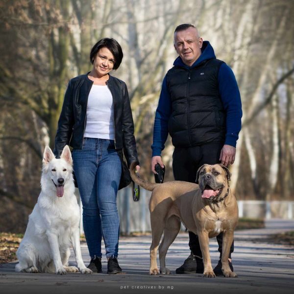 Hodowla i szkolenie psów rasowych Szkolenia dla psów Hotel dla psów Radzymin