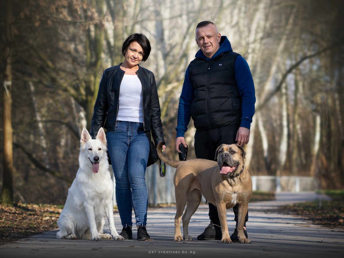 Hodowla i szkolenie psów rasowych Szkolenia dla psów Hotel dla psów Radzymin